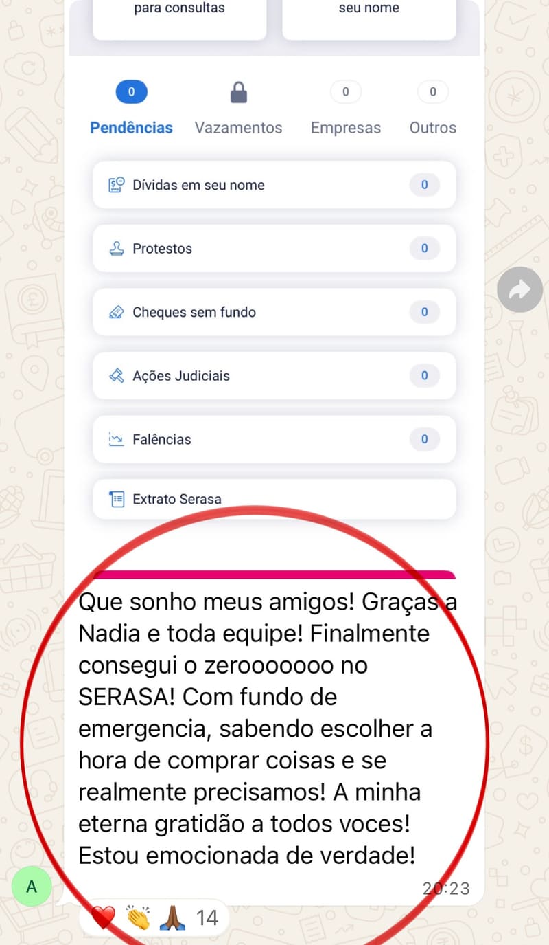 🏦 ZEROU O SERASA