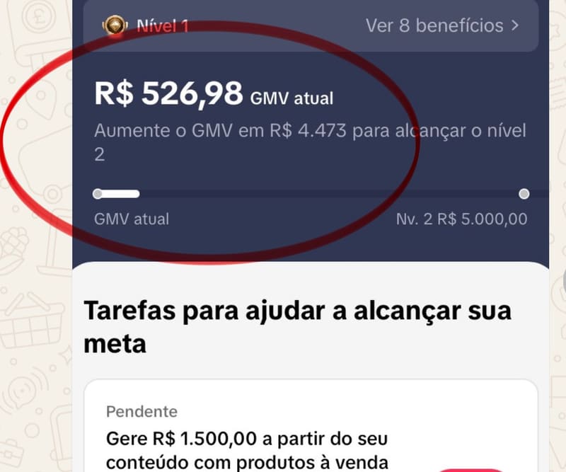 📈 R$ 526,98 DE GMV E SUBINDO PRO NÍVEL 2