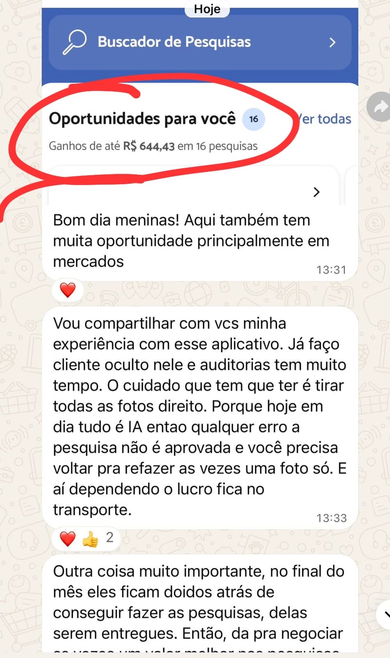 🔍 GANHOS DE ATÉ R$ 644,43 EM 16 PESQUISAS