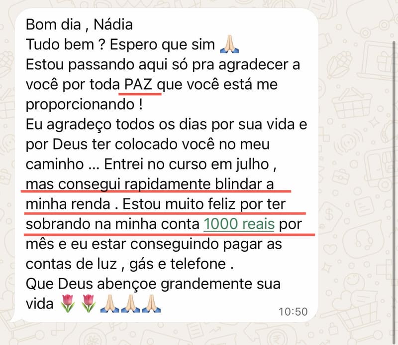 🛡️ SOBRANDO R$ 1.000,00 POR MÊS DEPOIS DE BLINDAR